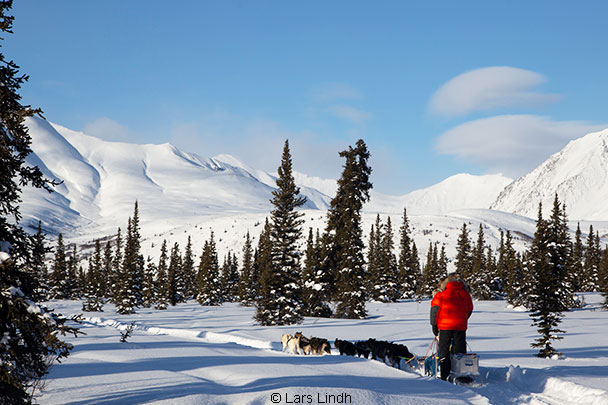 Hundeschlittentour Lappland